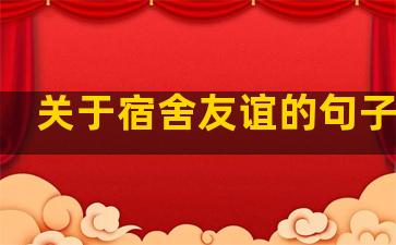 关于宿舍友谊的句子温柔