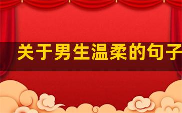 关于男生温柔的句子精选