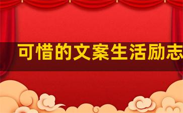 可惜的文案生活励志句子