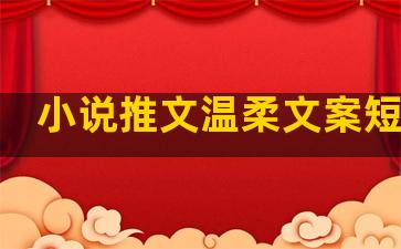 小说推文温柔文案短句子