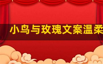 小鸟与玫瑰文案温柔句子