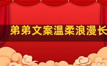 弟弟文案温柔浪漫长句子