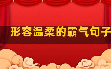 形容温柔的霸气句子短句