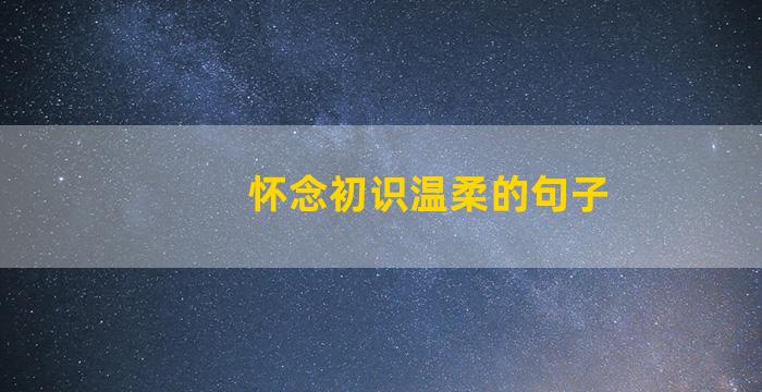 怀念初识温柔的句子