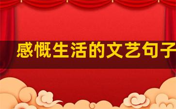 感慨生活的文艺句子简短