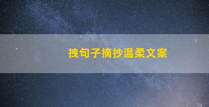 拽句子摘抄温柔文案