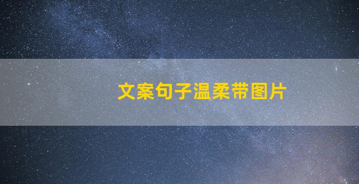 文案句子温柔带图片