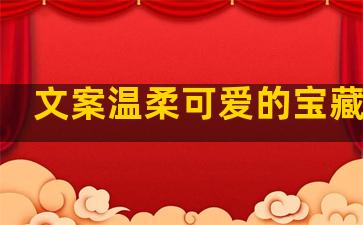 文案温柔可爱的宝藏句子