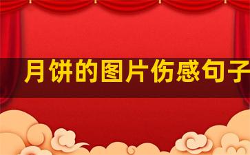 月饼的图片伤感句子温柔