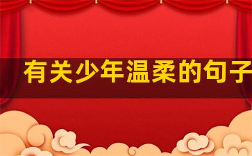 有关少年温柔的句子唯美