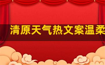 清原天气热文案温柔句子