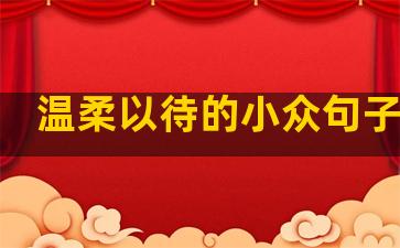 温柔以待的小众句子短句