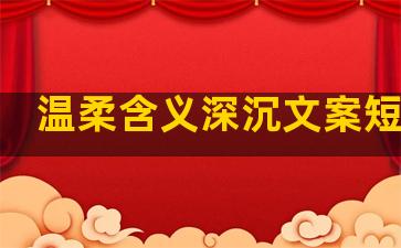 温柔含义深沉文案短句子