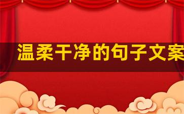 温柔干净的句子文案短句