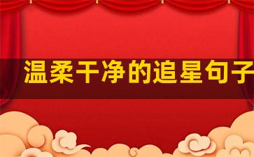 温柔干净的追星句子图片