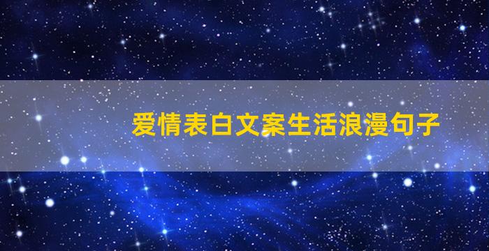 爱情表白文案生活浪漫句子