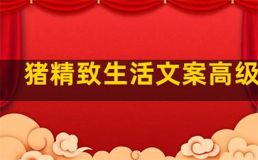 猪精致生活文案高级句子