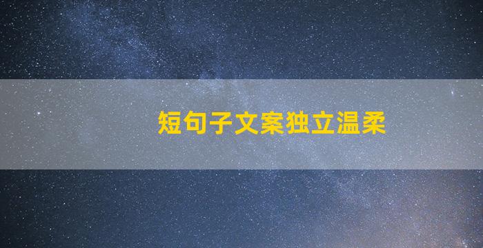 短句子文案独立温柔