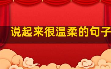 说起来很温柔的句子短句